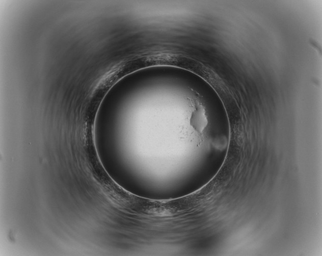 X0000095910735200801181355