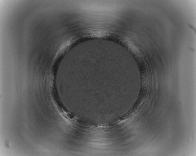 X0000095910736200801181355