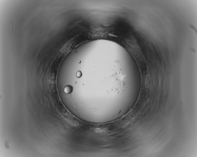 X0000095910737200801181355