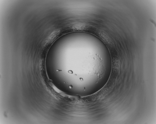 X0000095910738200801181355