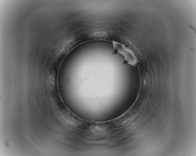 X0000095910739200801181355