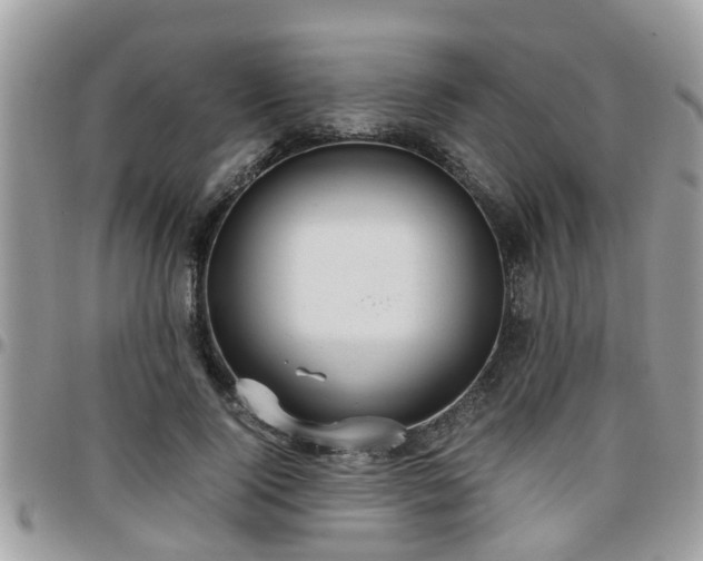 X0000095910740200801181355