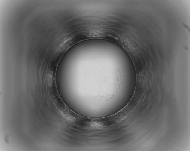 X0000095910741200801181355