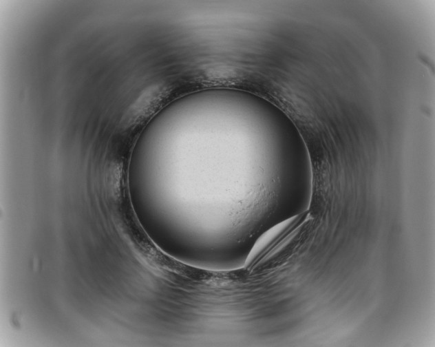 X0000095910742200801181355