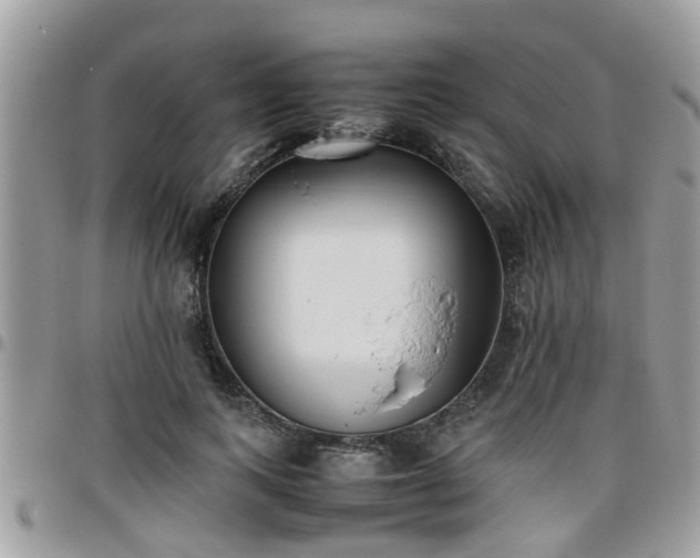 X0000095910743200801181355