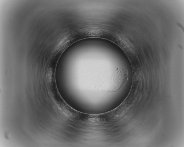 X0000095910744200801181355