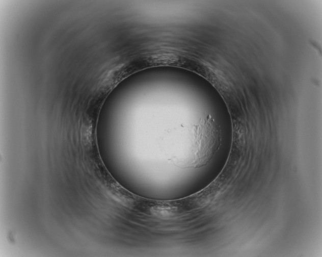 X0000095910745200801181355