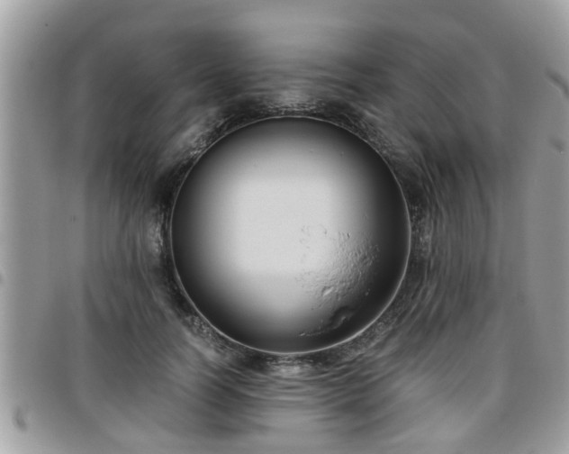 X0000095910746200801181355