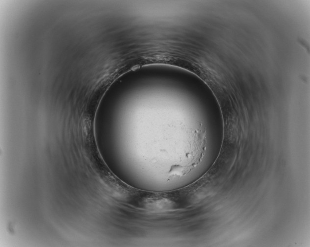 X0000095910747200801181355