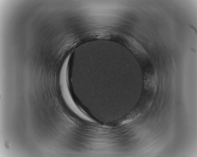 X0000095910748200801181355