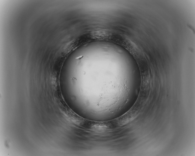 X0000095910749200801181355