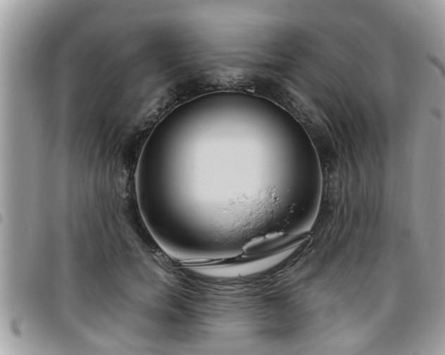 X0000095910750200801181355