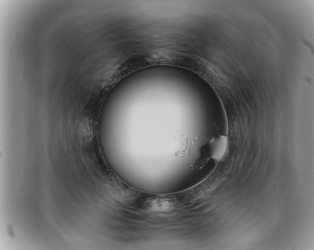 X0000095910751200801181355