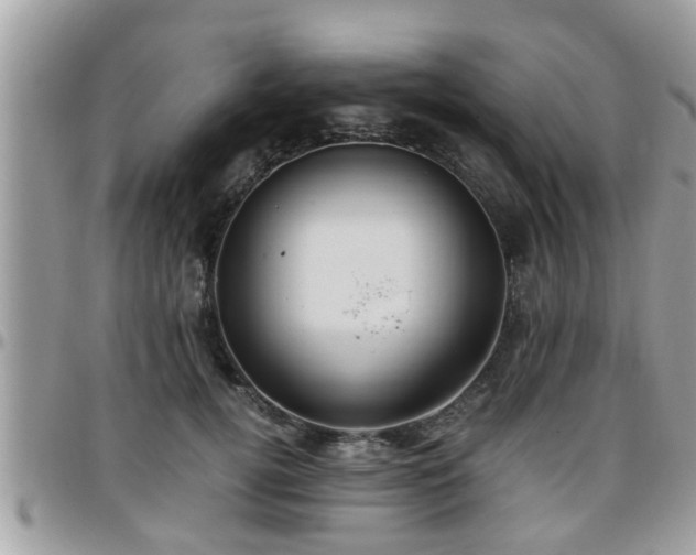 X0000095910752200801181355