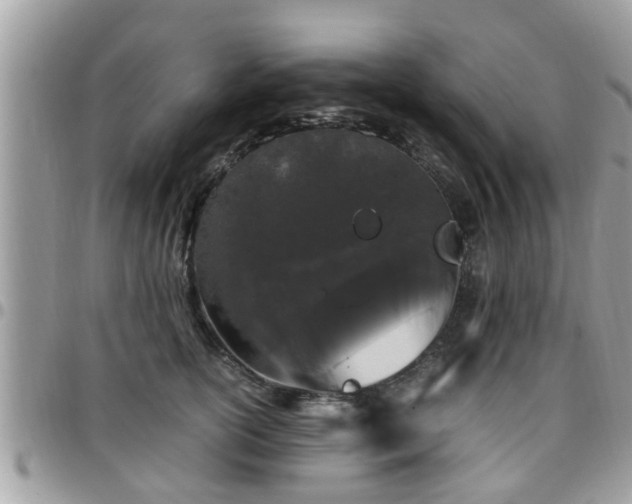 X0000095910754200801181355