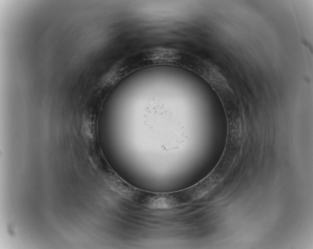 X0000095910755200801181355