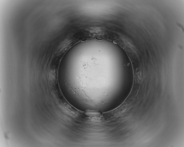 X0000095910756200801181355