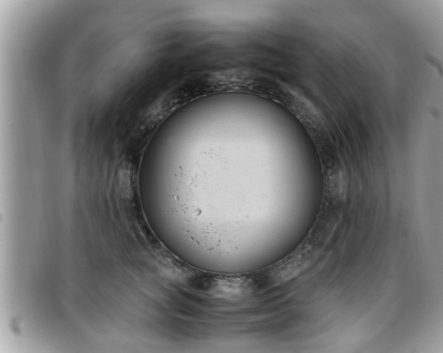 X0000095910757200801181355