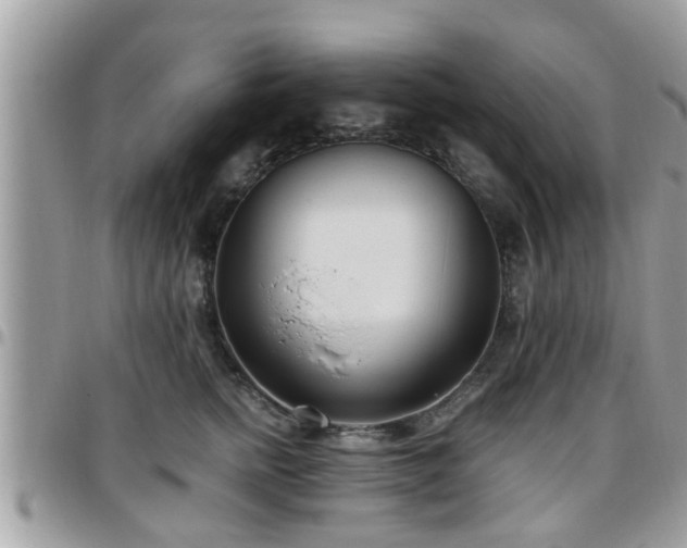 X0000095910758200801181355