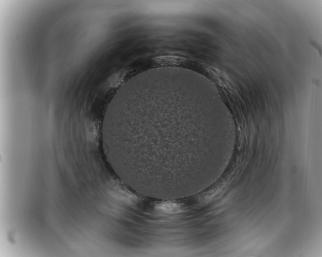 X0000095910759200801181355