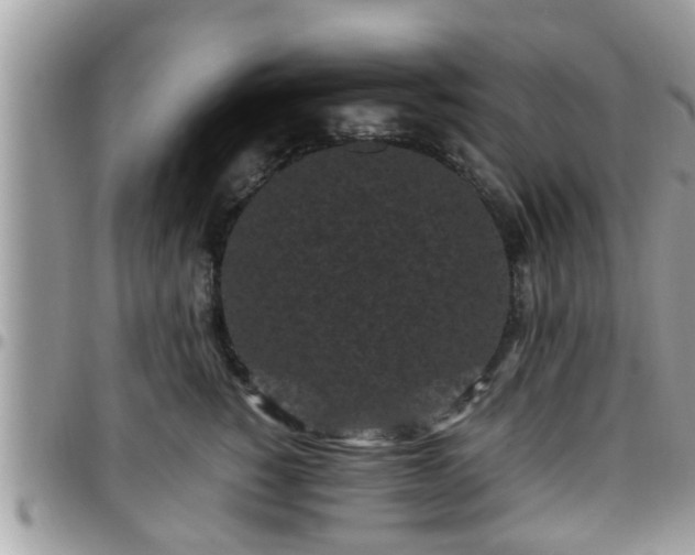 X0000095910760200801181355