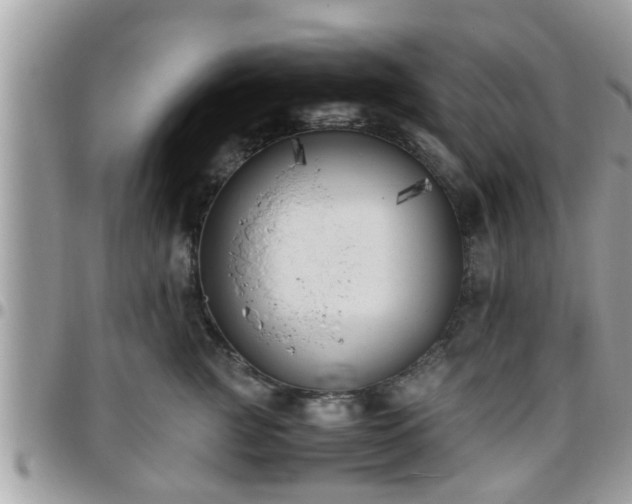 X0000095910761200801181355