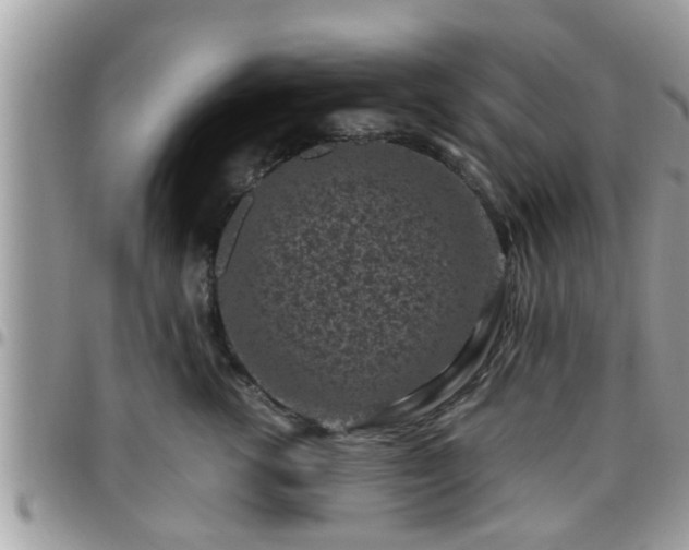 X0000095910762200801181355