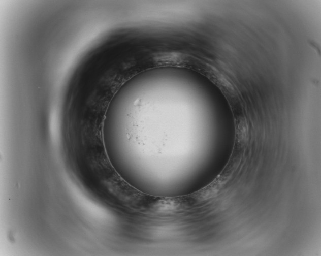 X0000095910764200801181356