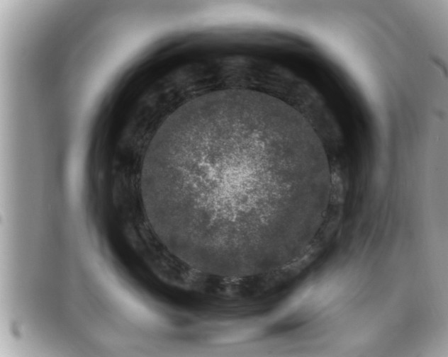 X0000095910765200801181356