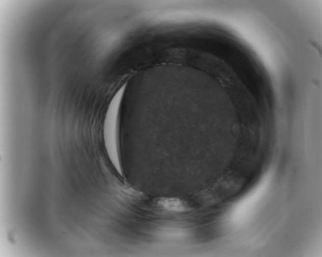 X0000095910767200801181356