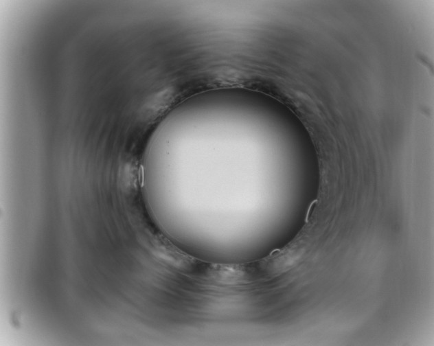 X0000095910768200801181356