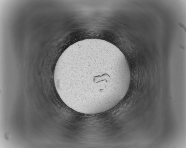 X0000095910769200801181355