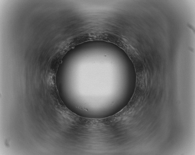 X0000095910770200801181355