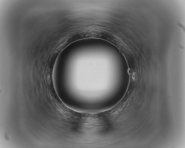 X0000095910771200801181355