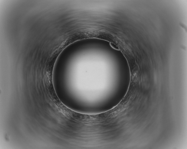 X0000095910772200801181355