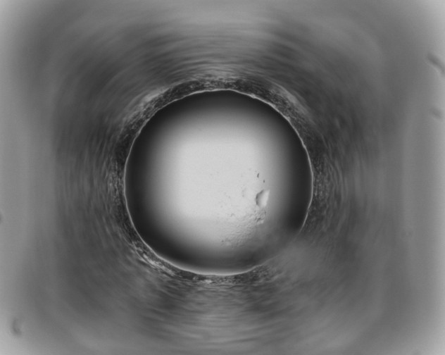 X0000095910773200801181355