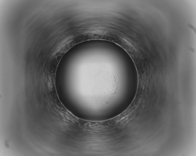 X0000095910774200801181355