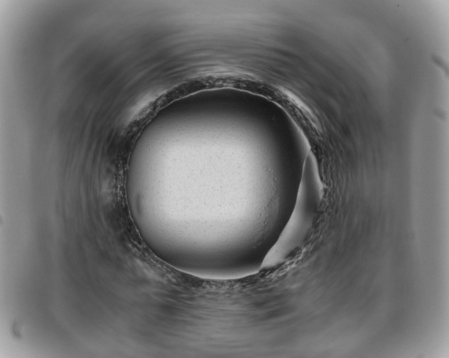 X0000095910775200801181355