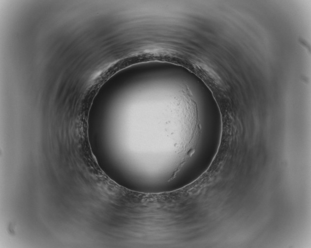 X0000095910776200801181355