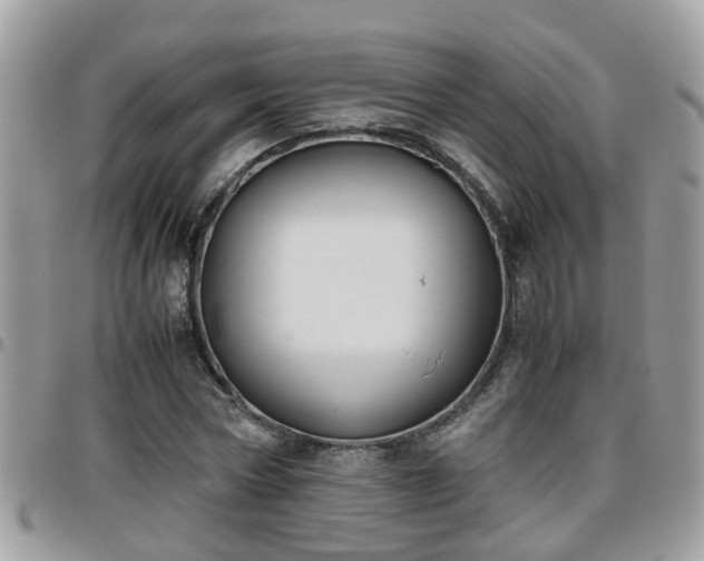 X0000095910778200801181355