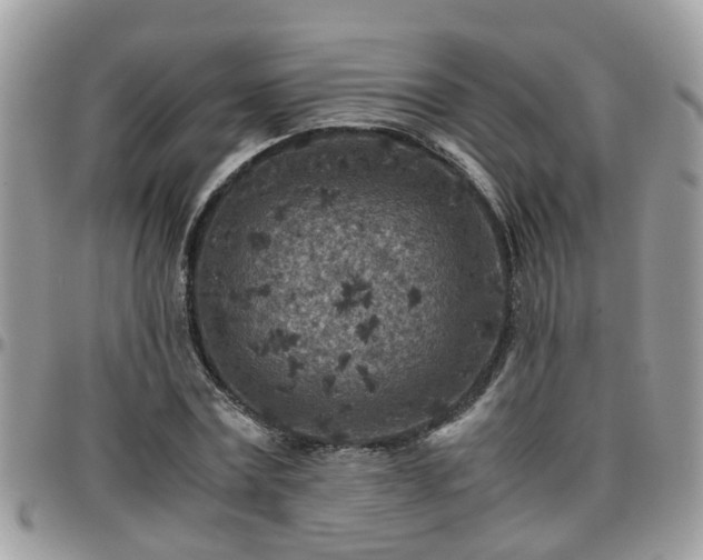X0000095910779200801181355