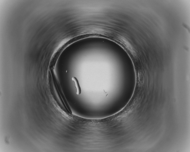 X0000095910780200801181355