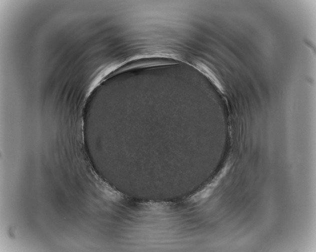 X0000095910781200801181355