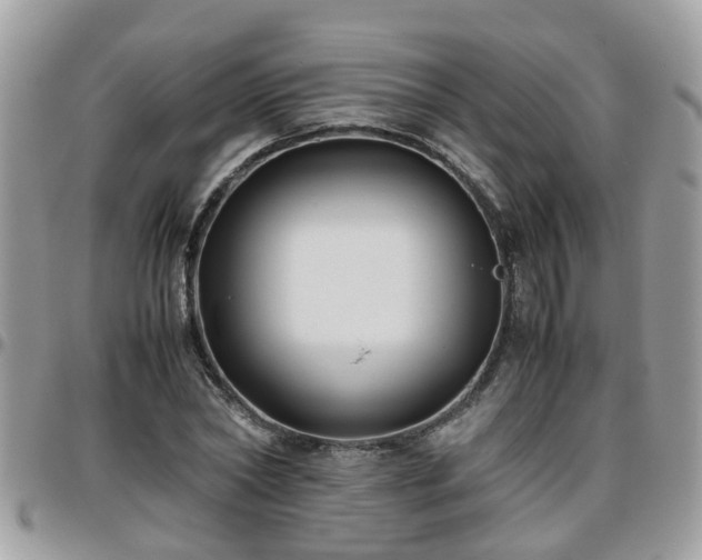 X0000095910782200801181355