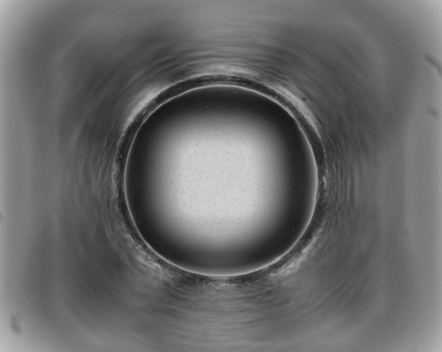 X0000095910783200801181355