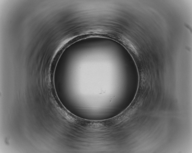 X0000095910784200801181355