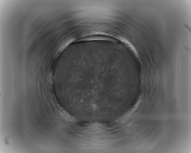 X0000095910785200801181355