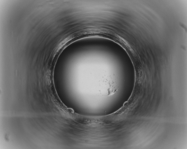 X0000095910786200801181355