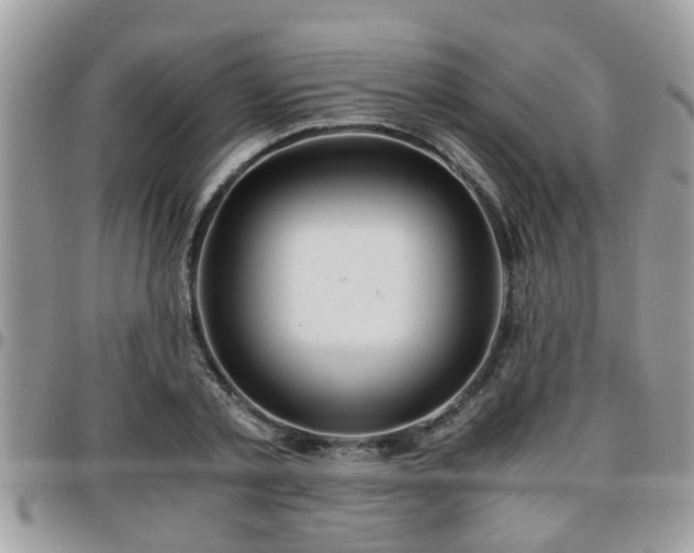 X0000095910789200801181354