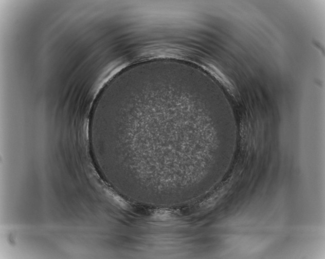 X0000095910790200801181354